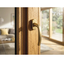 Detailansicht einer Holzhaustür mit Griff