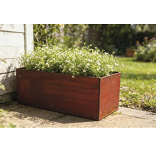 Rechteckiger Pflanzkasten aus Metall mit weiß blühenden Pflanzen im Garten.