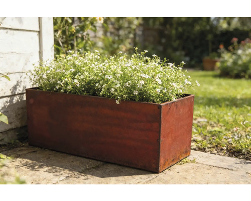 Rechteckiger Pflanzkasten aus Metall mit weiß blühenden Pflanzen im Garten.