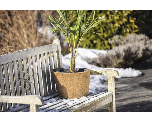 Kokos-Winterschutz für Topfpflanzen auf einer hölzernen Gartenbank im verschneiten Außenbereich.