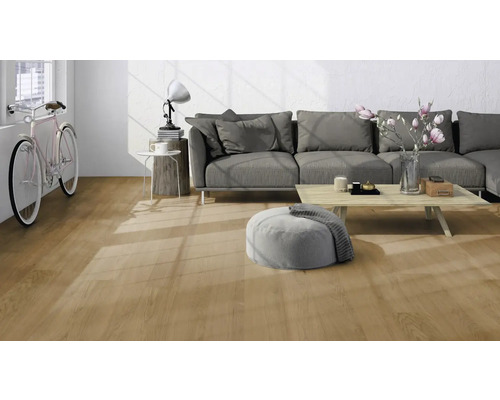 Heller Wohnraum mit Holzboden, Sofa und Dekoration