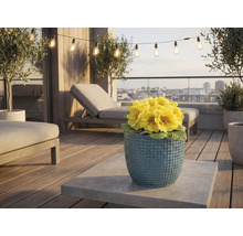 Terrasse mit Gartenmöbeln, Lichterkette und gelben Primeln in einem Topf