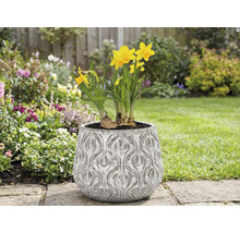 Narzissen in einem Pflanzgefäß mit Reliefmuster im Garten