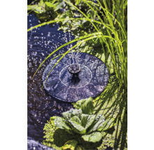 Solare Teichpumpe im Gartenteich mit Wasserspritzer