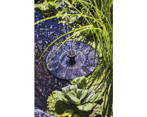 Solare Teichpumpe im Gartenteich mit Wasserspritzer