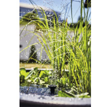 Gartenteich mit Springbrunnen und Wasserspritzer zwischen Gräsern