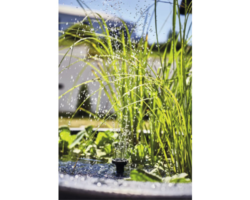 Gartenteich mit Springbrunnen und Wasserspritzer zwischen Gräsern