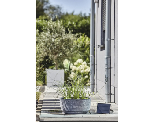 Dekorative Pflanze in rundem Pflanzgefäß mit Solarpanel zur Beleuchtung im Außenbereich