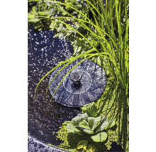 Solarbetriebene Teichpumpe im Gartenteich mit Pflanzen