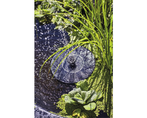 Solarbetriebene Teichpumpe im Gartenteich mit Pflanzen