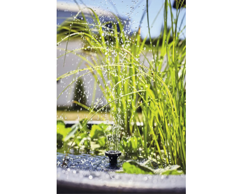 Gartenteich mit Springbrunnen und Wasserpflanzen