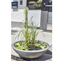 Gartenteich mit Fontäne und Bepflanzung in einem grauen Pflanzgefäß