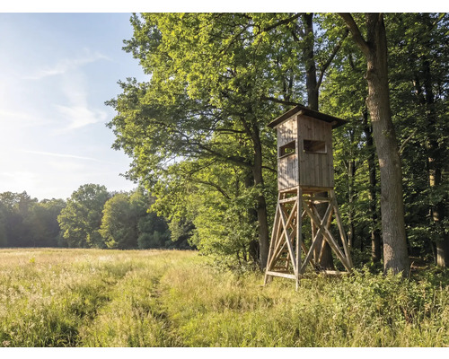 Hochsitz aus Holz auf einer Wiese