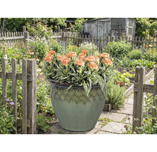 Dekorativer Blumentopf mit Nelken in einem Garten.