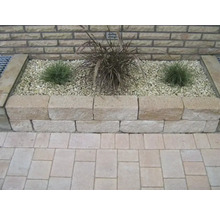 Hochbeet mit Pflanzen und Steinen im Garten