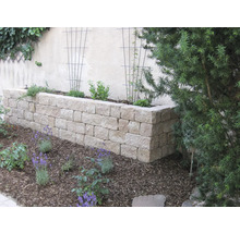 Garten mit Hochbeet aus Stein und Pflanzen