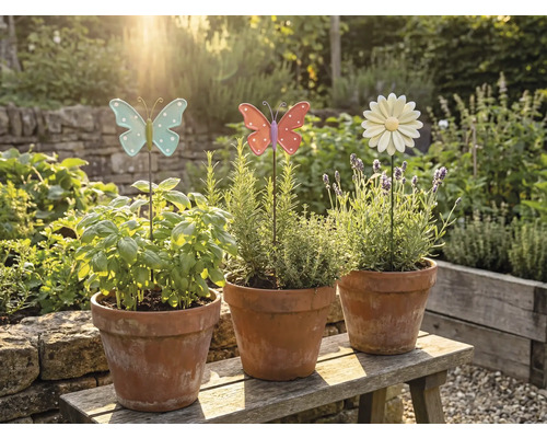 Drei Terrakottatöpfe mit Kräutern und dekorativen Gartensteckern auf einer Holzbank im Garten.