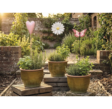 Drei Pflanztöpfe mit Kräutern und dekorativen Gartensteckern in Herz-, Blumen- und Schmetterlingsform in einem Garten.