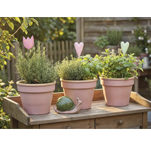 Drei Kräutertöpfe mit Kräutern und Dekoration auf einem Holztisch