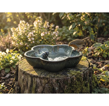 Dekorative Vogeltränke auf einem Baumstumpf mit Rotkehlchen