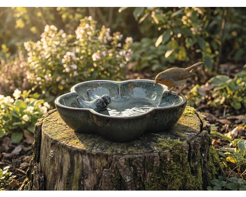 Dekorative Vogeltränke auf einem Baumstumpf mit Rotkehlchen