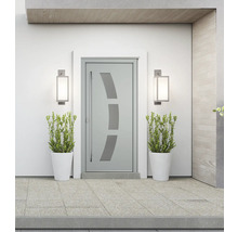 Moderne Haustür mit Glaseinsatz und zwei Aussenleuchten neben zwei Pflanzenkübeln.
