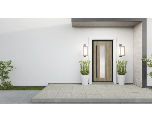 Moderne Haustür mit Glaseinsatz, flankiert von Pflanzen in Töpfen und Außenleuchten