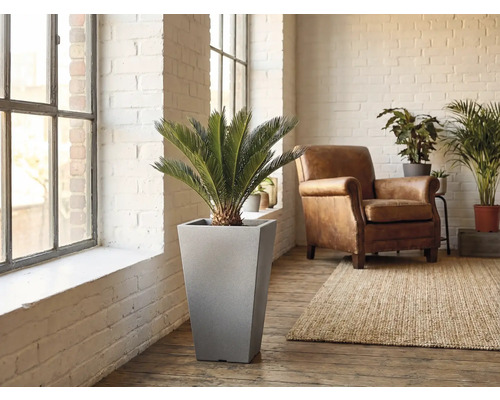 Szene eines Wohnraumes mit einem Zylinderförmigen Pflanzgefäß inklusive Pflanze, Sessel und Teppich.