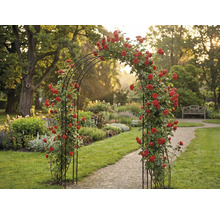 Gartenansicht mit Rosenbogen und rosenbewachsener Struktur