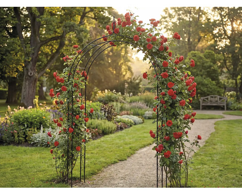 Gartenansicht mit Rosenbogen und rosenbewachsener Struktur