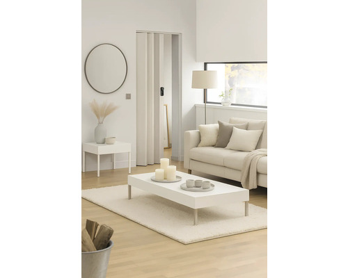 Wohnzimmer mit Sofa, Tisch, Teppich, Spiegel und Falttür