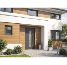 Außenansicht eines modernen Hauses mit Haustür, Fenstern und Holzverkleidung