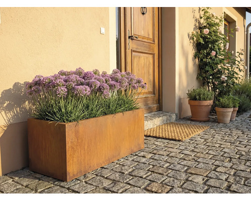 Außenaufnahme eines Blumenkastens aus Metall vor einer Haustür mit Pflastersteinen.