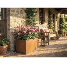 Rustikale Terrasse mit Rosen im Pflanzkasten und einer Holzbank mit Kissen.