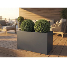 Rechteckiger Pflanzkasten mit zwei Buchskugeln auf einer Terrasse