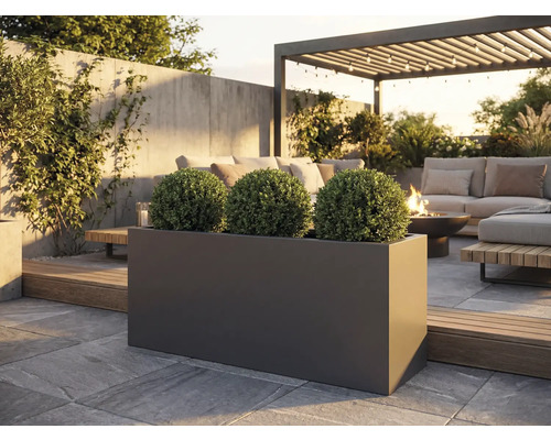 Außenaufnahme mit einem rechteckigen, dunklen Pflanzkasten mit drei kugelförmigen Pflanzen auf einer Steinterrasse