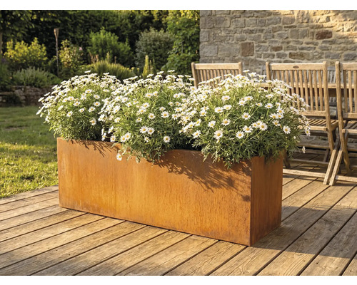 Blumenkasten aus Metall mit Margeriten auf einer Holzterrasse