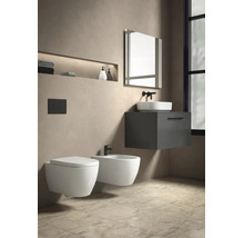 Modernes Badezimmer mit wandhängender Toilette, Bidet, dunkelgrauem Waschtischunterschrank und weißem Aufsatzwaschbecken mit schwarzen Armaturen.