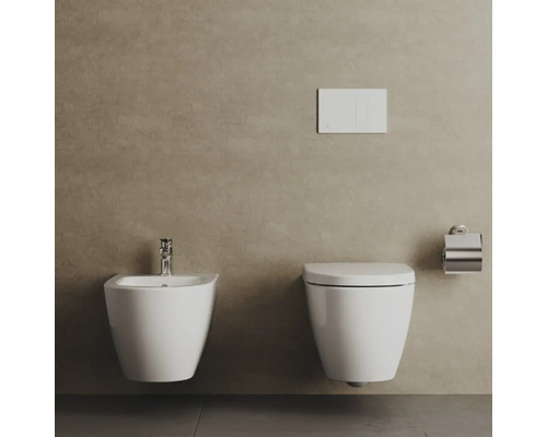 Wand-Bidet und Wand-WC in einem modernen Badezimmer mit Betätigungsplatte und Toilettenpapierhalter.