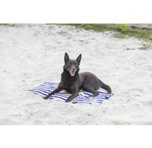 Ein Hund liegt auf einem Handtuch am Strand.