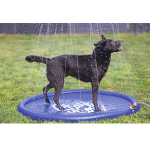 Hund steht auf einer Wasserspielmatte für Hunde
