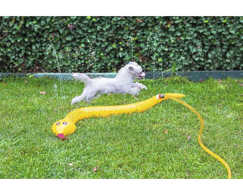 Hund springt über Rasensprenger in Schlangenform