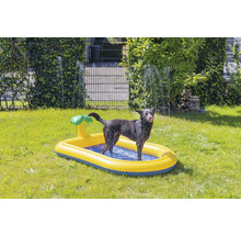 Hund steht in einem aufblasbaren Hundepool im Garten.
