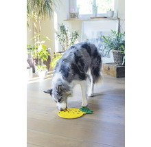 Ein Hund frisst Futter aus einem gelben interaktiven Futterspielzeug in Ananasform.