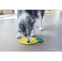 Hund frisst Futter aus einem interaktiven Futterspielzeug in Ananasform