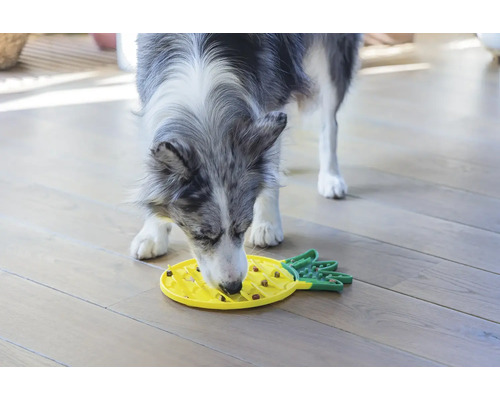 Hund frisst Futter aus einem interaktiven Futterspielzeug in Ananasform