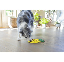 Ein Hund frisst aus einem gelben interaktiven Futter-Napf in Ananasform.