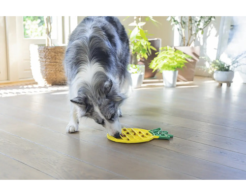 Ein Hund frisst aus einem gelben interaktiven Futter-Napf in Ananasform.