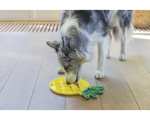 Ein Hund frisst aus einem interaktiven Futterspielzeug in Ananasform.