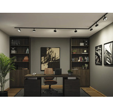 Modernes Heimbüro mit dunklem Schreibtisch aus Holz, Ledersessel, großen Regalen und schwarzem Schienensystem an der Decke.